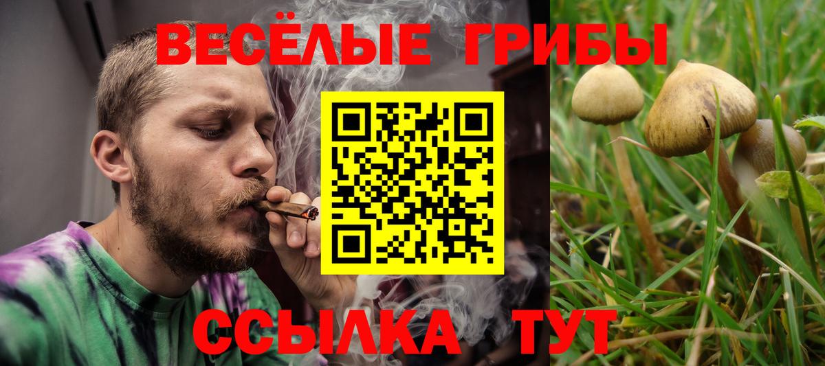 Галлюциногенные грибы ЛСД Астрахань