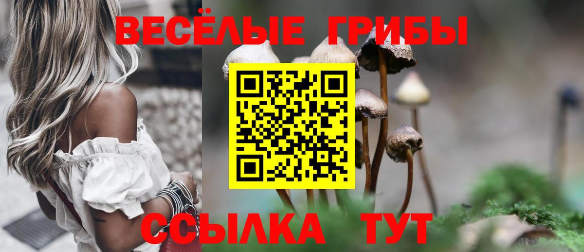 Астрахань  Псилоцибиновые грибы GOLDEN TEACHER  Вход с VPN  закладка  Галлюциногенные грибы прущие грибы 